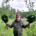 ���������� �����������, ���� ������� �������, 26 ���, ������������ ��� ������, ����� � ���������