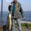 ���������� �������, ���� ������� ����, 46 ���, ������������ ��� ������