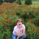 ���������� ���������, ���� ������� Regina, 53 ����, ������������ ��� ������, ����� � ���������, c�������� ���������