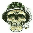 ���������� �������, ���� ������� ������ ����, 33 ����, ������������ ��� ������, ����� � ���������, c�������� ���������, ���������