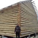 ���������� �������, ���� ������� �������, 39 ���, ������������ ��� ������, ����� � ���������, c�������� ���������