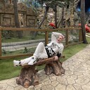  ,   , 40 ,   ,   