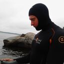 ���������� �����-���������, ���� ������� �����, 43 ����, ������������ ��� ����� � ���������, c�������� ���������