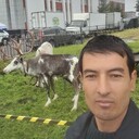 ���������� ��������, ���� ������� �������, 37 ���, ������������ ��� ������, ����� � ���������