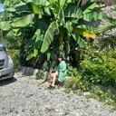 ���������� ���������, ���� ������� �����, 43 ����, ������������ ��� ������, ����� � ���������