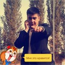 ���������� �������, ���� ������� Sardor, 30 ���, ������������ ��� ������, ����� � ���������, c�������� ���������