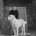 ���������� ������, ���� ������� Scv, 54 ����, ������������ ��� ������, ����� � ���������, c�������� ���������