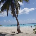 ���������� ������, ���� ������� Lina, 44 ����, ������������ ��� ����� � ���������, c�������� ���������