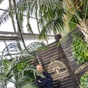 ���������� �����-���������, ���� ������� ��������, 44 ����, ������������ ��� ������, ����� � ���������, c�������� ���������