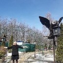  ,   , 41 ,   ,   , c 