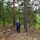 ���������� ����, ���� ������� �������, 44 ����, ������������ ��� ������, ����� � ���������