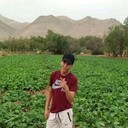  ,   Abdelhadi, 24 ,   ,   