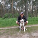  ,   , 46 ,   ,   , c , 