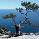 ���������� �����������, ���� ������� �����, 46 ���, ������������ ��� ����� � ���������, c�������� ���������