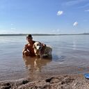 ���������� ����, ���� ������� ���������, 55 ���, ������������ ��� ������, ����� � ���������