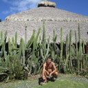 ���������� ������, ���� ������� ������, 38 ���, ������������ ��� ������, ����� � ���������, c�������� ���������