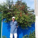  ,   , 58 ,   c 