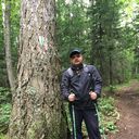 ���������� ������������, ���� ������� ����������, 38 ���, ������������ ��� ������, ����� � ���������, c�������� ���������, ���������