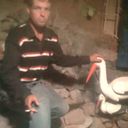 ���������� ������, ���� ������� ����, 37 ���, ������������ ��� ������, ���������