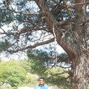 ���������� ����, ���� ������� Hakim, 28 ���, ������������ ��� ������, ����� � ���������, c�������� ���������