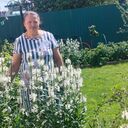  ,   , 50 ,   ,   , c , 