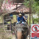 ���������� ��������, ���� ������� ����, 37 ���, ������������ ��� ������, ����� � ���������, ���������