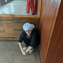 ���������� �������, ���� ����� ����, 23 ����, ������������ ��� ������, ����� � ���������