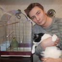 ���������� �����-���������, ���� ������� ���������, 49 ���, ������������ ��� ����� � ���������, c�������� ���������