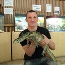 ���������� �������, ���� ������� ����, 38 ���, ������������ ��� c�������� ���������