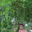  ,   , 60 ,   ,   , c 