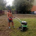 ���������� ����������, ���� ������� �������, 38 ���, ������������ ��� ������, ����� � ���������, c�������� ���������