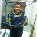  ,   , 46 ,   ,   , c 