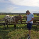 ���������� ������, ���� ������� �����, 37 ���, ������������ ��� ������, ����� � ���������, c�������� ���������, ���������