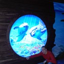  ,   , 36 ,   ,   , c 