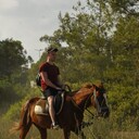 ���������� ������, ���� ������� ������, 31 ���, ������������ ��� ������, ����� � ���������, c�������� ���������