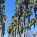 ���������� ���������, ���� ������� �����, 43 ����, ������������ ��� ������, ����� � ���������