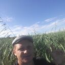  ,   Vel, 41 ,     , c 