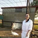 ���������� �����, ���� ������� ����, 40 ���, ������������ ��� ������, ����� � ���������, c�������� ���������