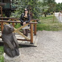  ,   , 43 ,  