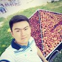  ,   , 27 ,     , c 