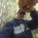  ,   Igor, 55 ,   ,   , c , 