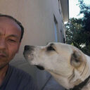  ,   Ismail, 43 ,   c 