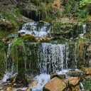 ���������� �����-���������, ���� ������� ������, 38 ���, ������������ ��� c�������� ���������