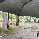 ���������� ���������, ���� ������� �������, 31 ���, ������������ 