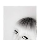 ���������� ������, ���� ������� ���������, 36 ���, ������������ ��� ������, ����� � ���������