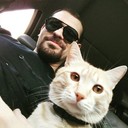 ���������� ���������, ���� ������� Bristol, 35 ���, ������������ ��� ������, ����� � ���������, c�������� ���������