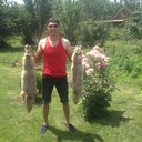 ���������� ������, ���� ������� �����, 38 ���, ������������ ��� ������, ����� � ���������, c�������� ���������