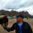  ,   , 44 ,   ,   , c , 