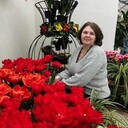 ���������� ���������, ���� ������� ������, 53 ����, ������������ ��� ����� � ���������, c�������� ���������, ���������