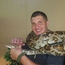 ���������� ���������, ���� ������� �������, 36 ���, ������������ ��� ������, ����� � ���������, c�������� ���������, ���������